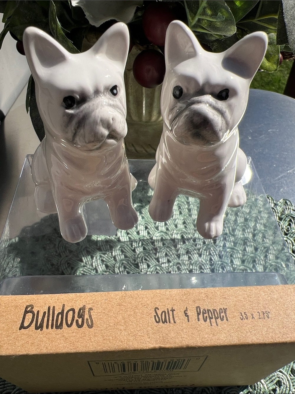 NWT American Atelier Glossy White French Bulldog Salt & Pepper Shakers